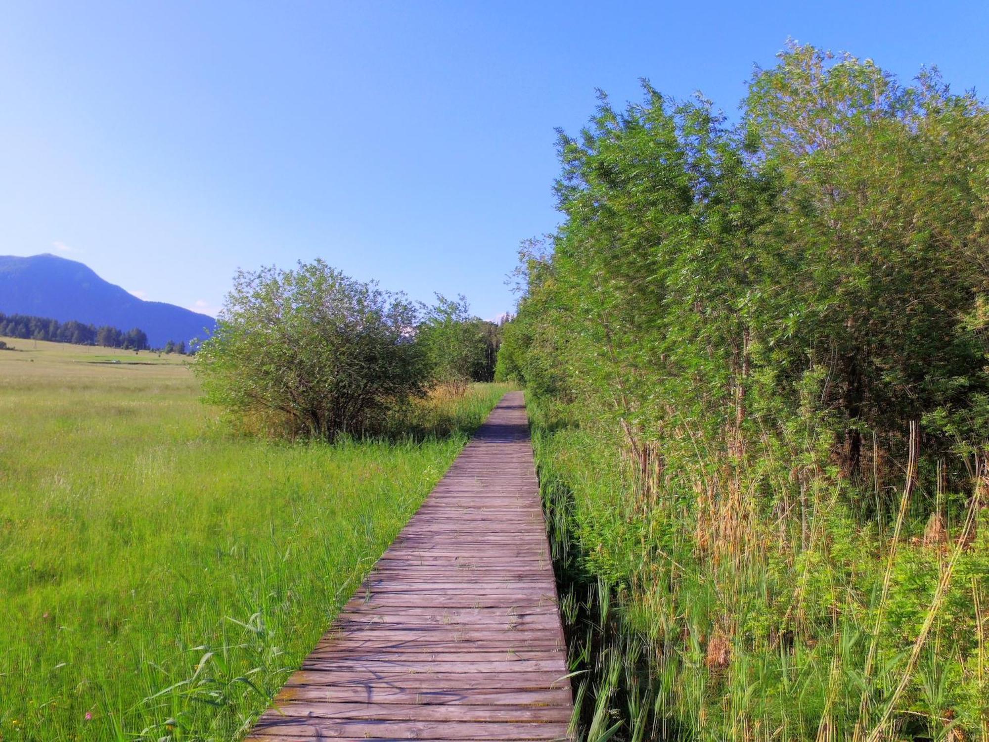 Hotel Alpenrose ซานวาเลนตีโน อัลลา มูตา ภายนอก รูปภาพ